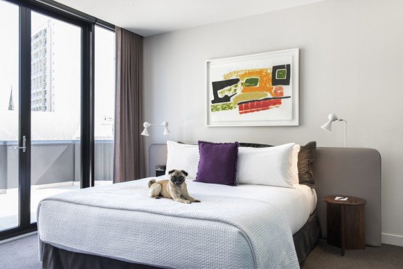 luxury hotels pets stay