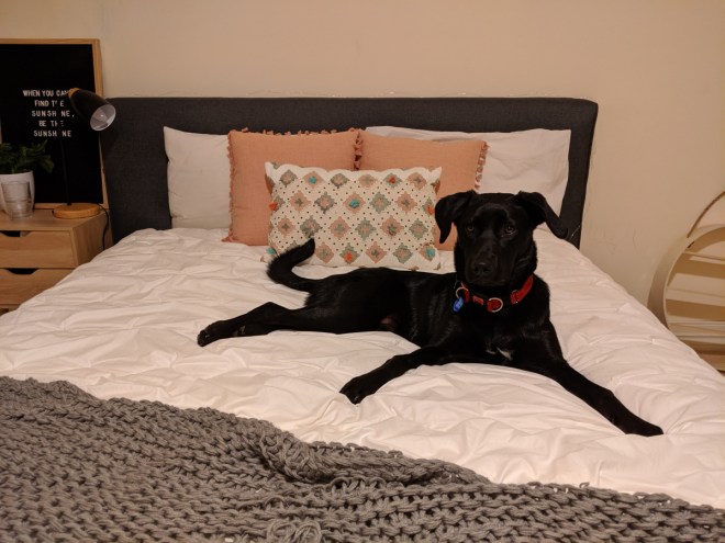 Google Pixel 3a review