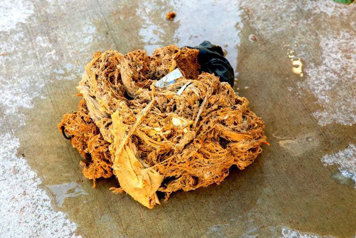 Fatbergs