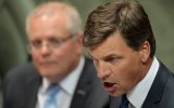 labor angus taylor