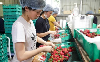 jobless november 2019