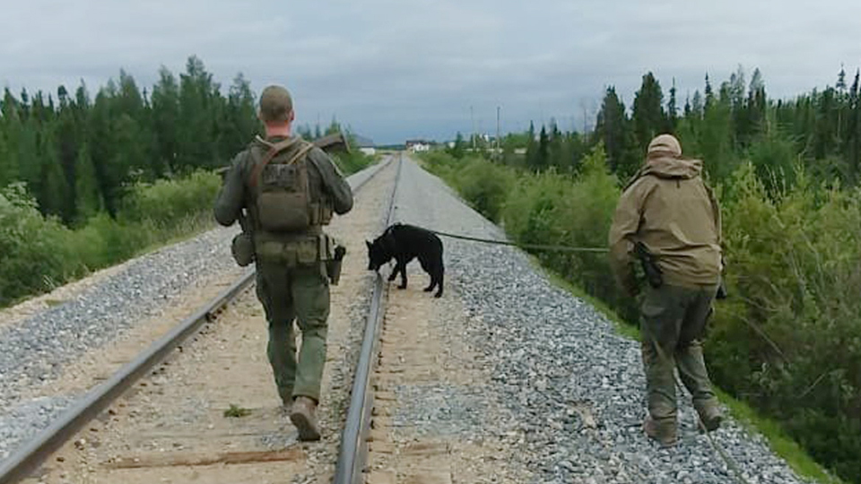 canada murder suspects ontario