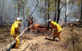 bushfire season nsw 2019