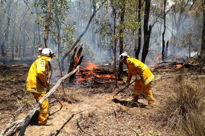 bushfire season nsw 2019