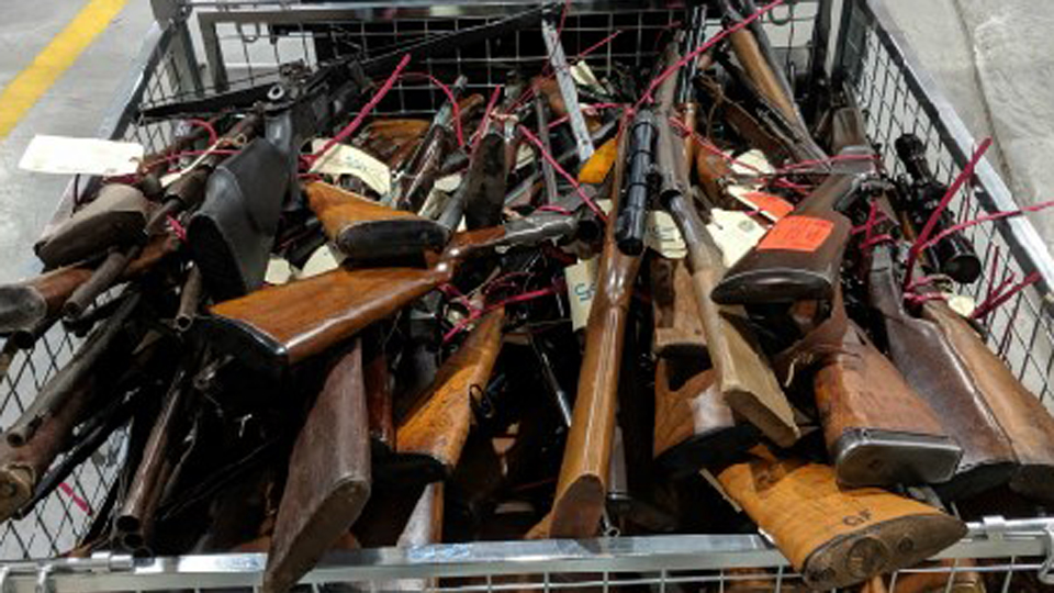 NSW guns