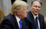 trump-nra