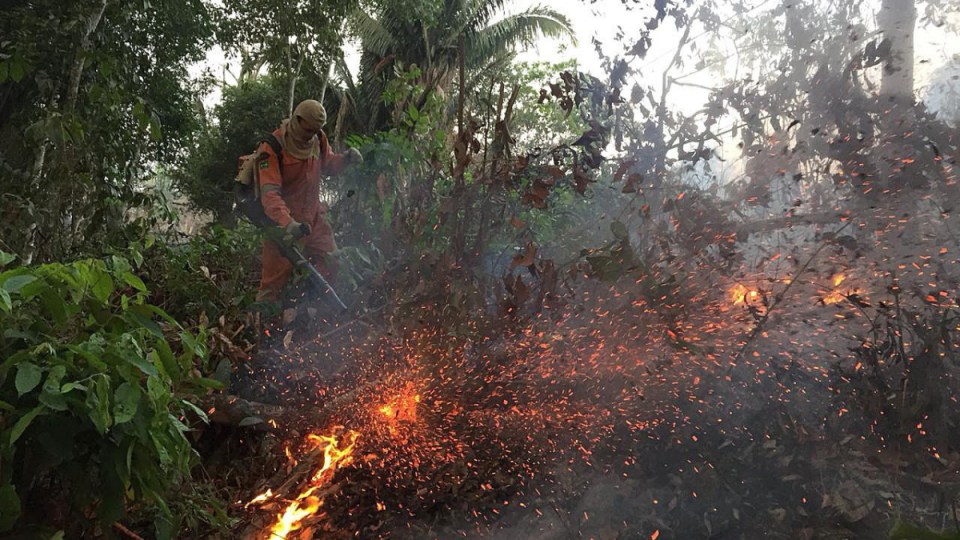 brazil-fires