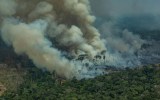 The Amazon rainforest has been burning for almost four weeks now.