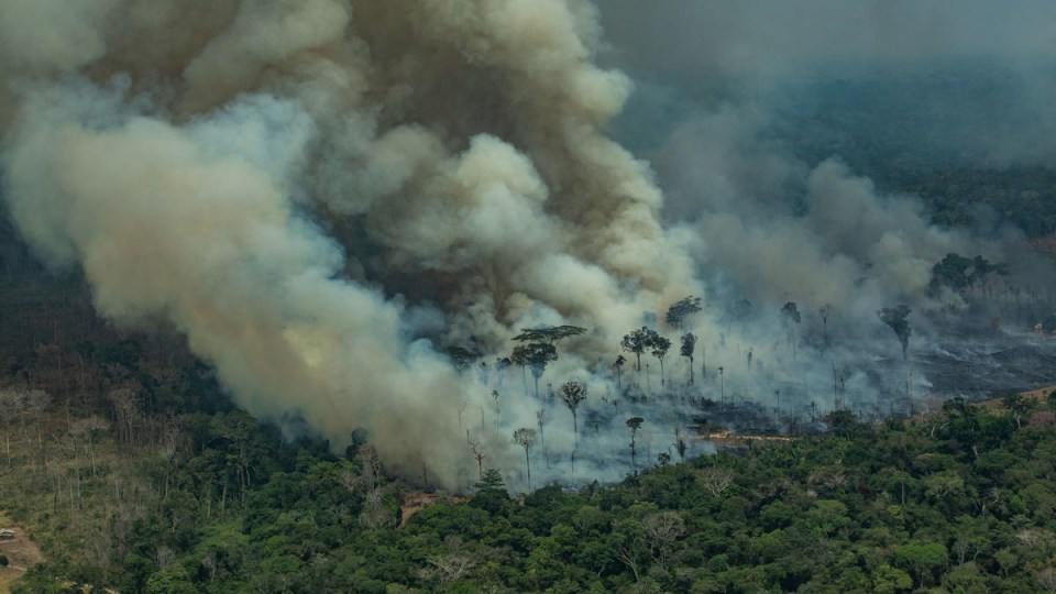 The Amazon rainforest has been burning for almost four weeks now.