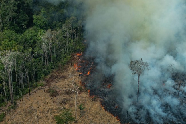 More than 75,000 fires have erupted since the start of the year. Photo: Greenpeace