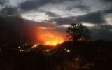 bushfires