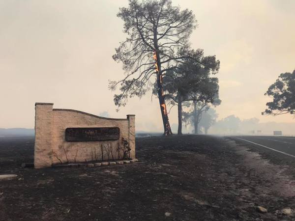 bushfires