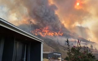 bushfire