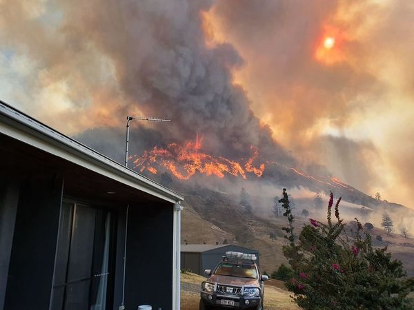 bushfire
