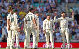 the ashes