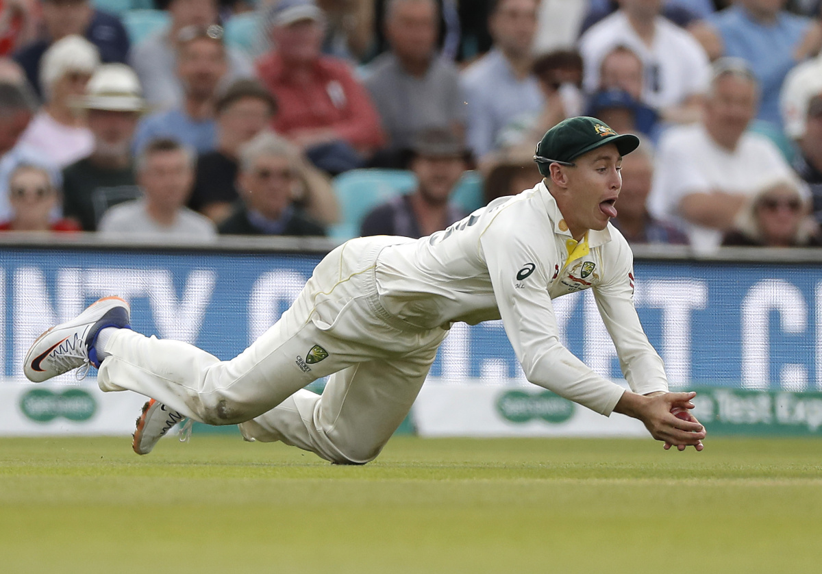 the ashes