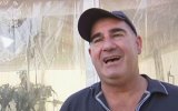 bill vlahos scam punting