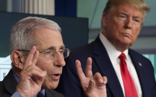donald trump anthony fauci