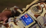 defence forces