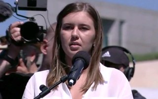 brittany higgins Jenkins report