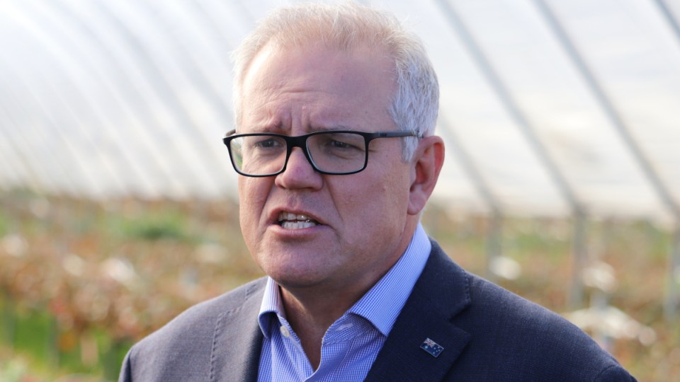 mandatory covid aged care