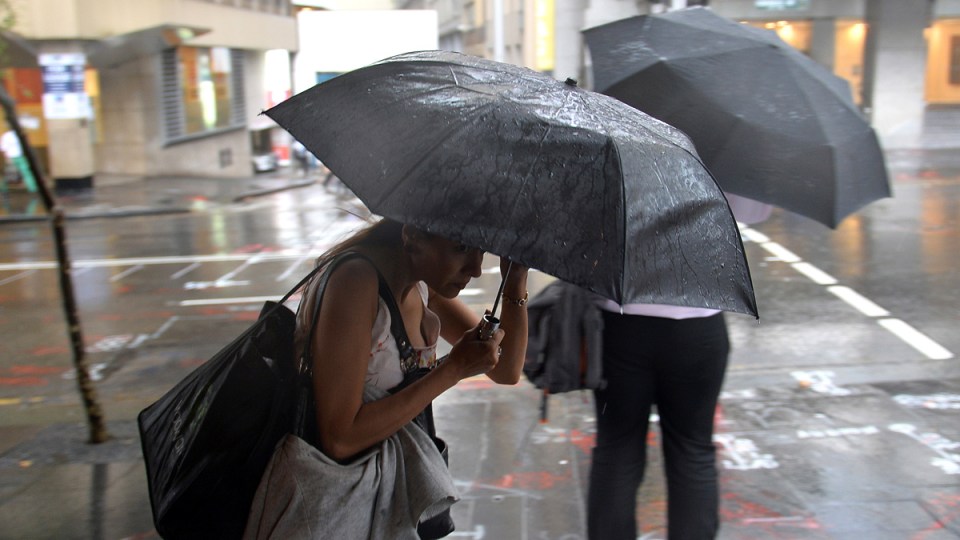nsw wet weather