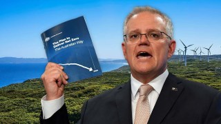 Coalition emissions