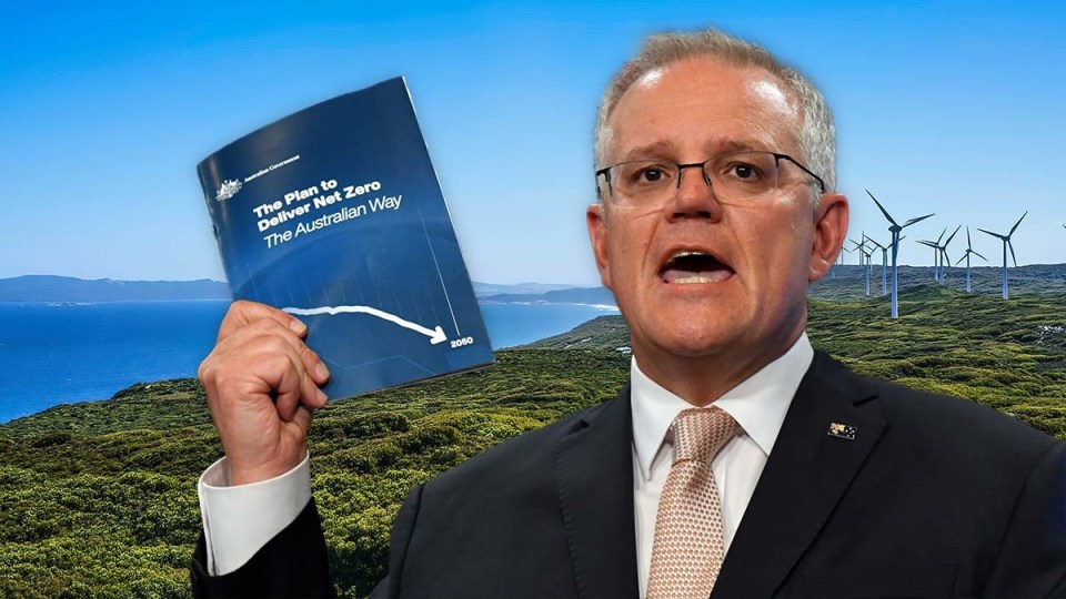 Coalition emissions
