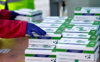 rapid tests accc