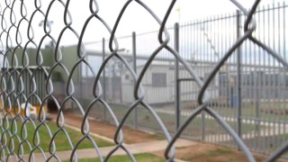 Immigration