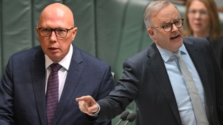 Dutton Albanese EDM