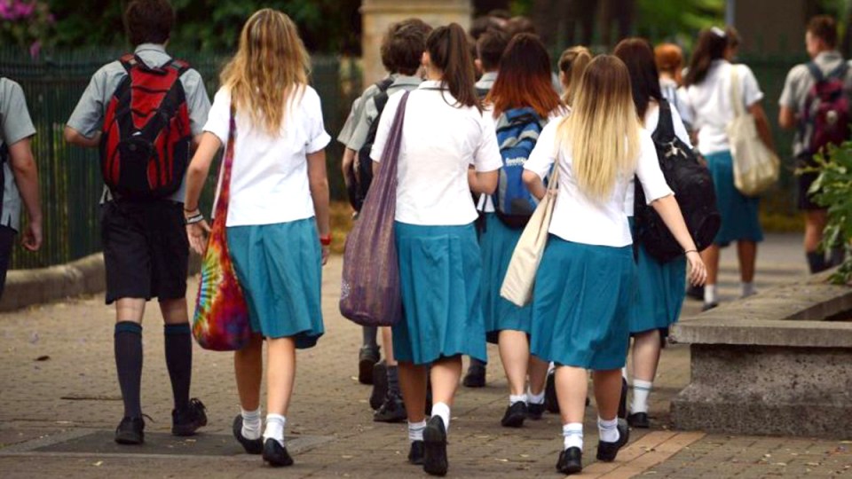 schools