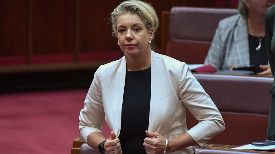 bridget mckenzie