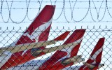 qantas covid vaccine