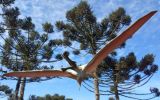 pterosaur winton