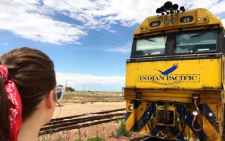 indian pacific gastro