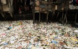 sustainability