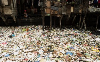 sustainability