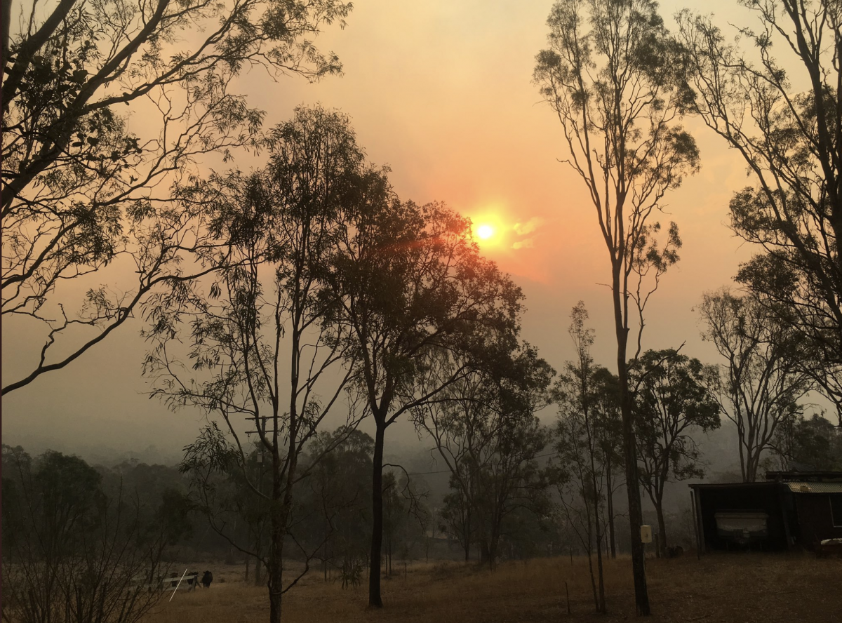 queensland bushfires