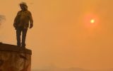 nsw bushfires houses