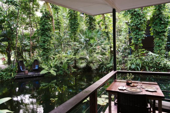 Daintree Eco Lodge