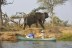 Up close with one of the Africa's 