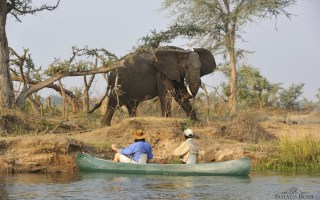 first time safari tips