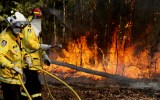 nsw fires