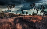 Environmental concerns