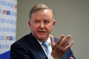 anthony-albanese