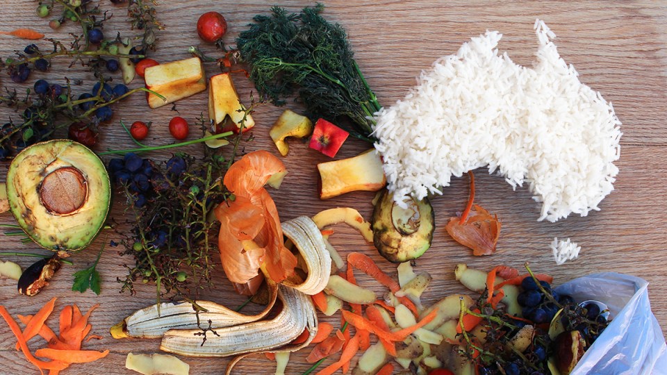 Food waste in the shape of Australia.