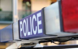 woman hit police car