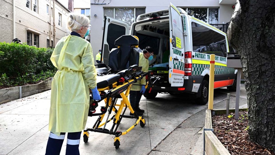 sydney virus