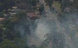 sydney bushfire